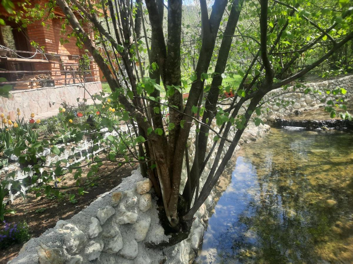 Live Nature Bihać 외부 사진