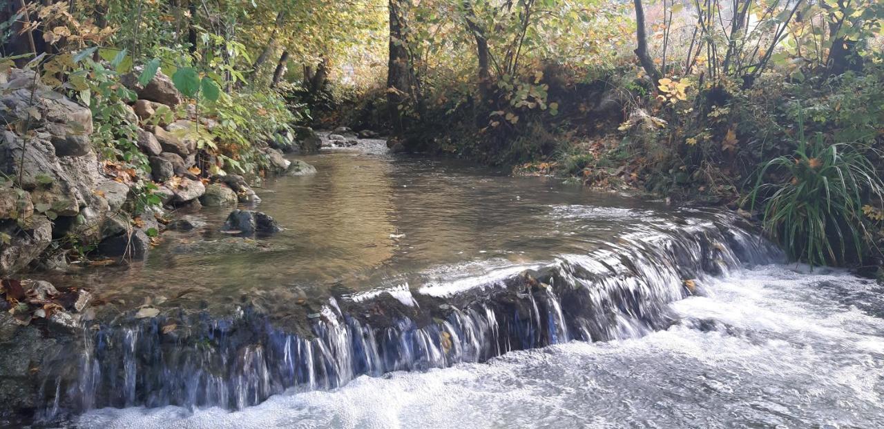 Live Nature Bihać 외부 사진