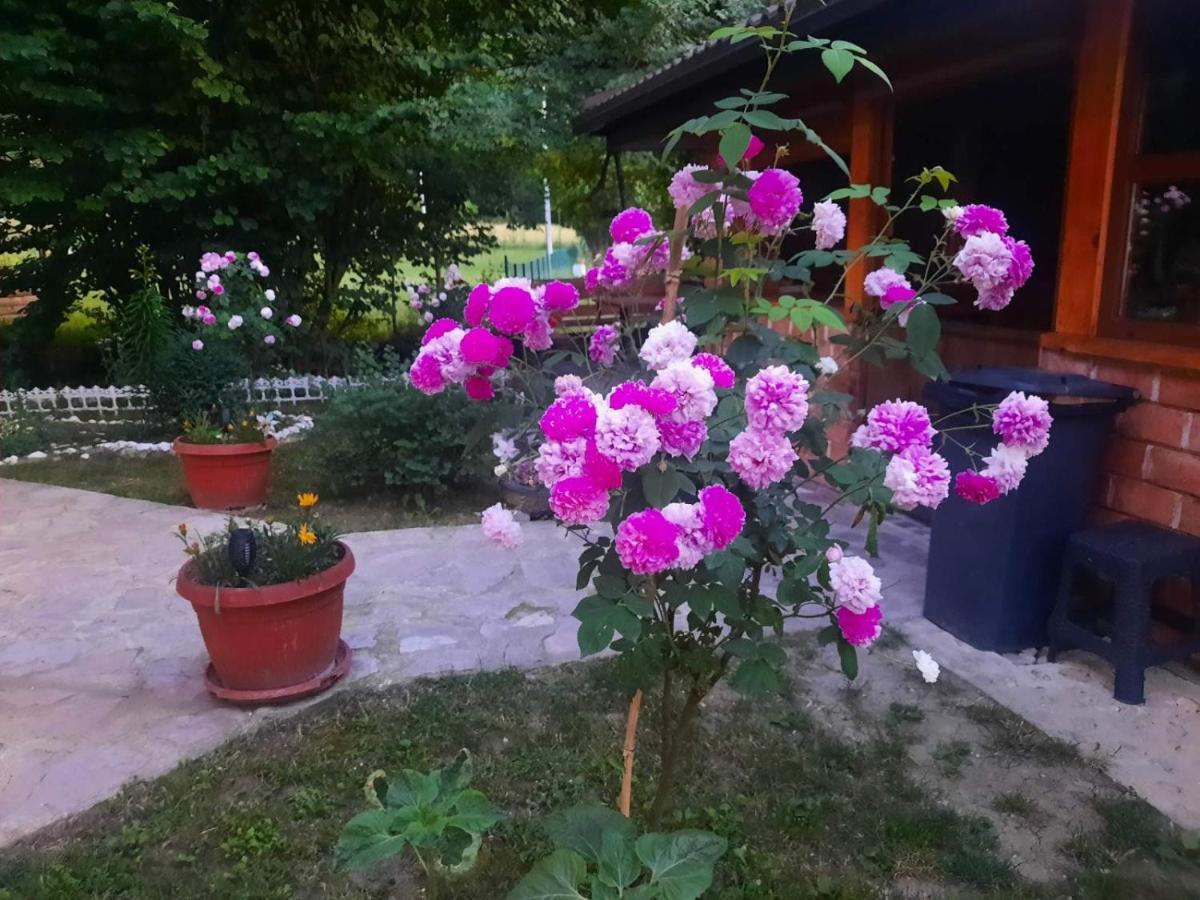 Live Nature Bihać 외부 사진